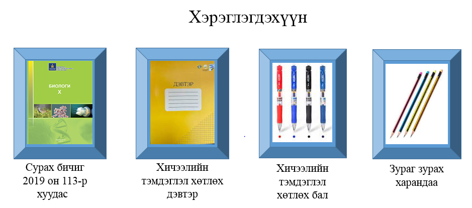 Мэдлээ | Цахим контент